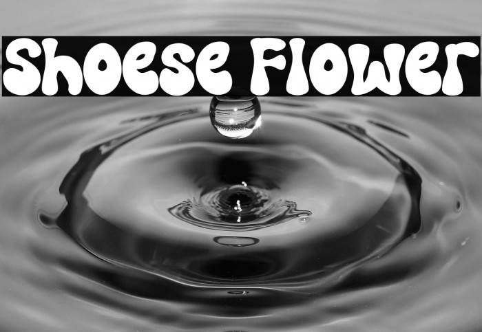 Shoese Flower Example 2