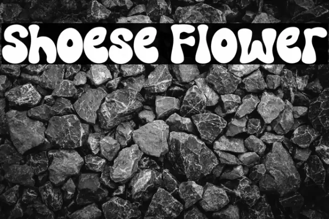 Shoese Flower Font examples