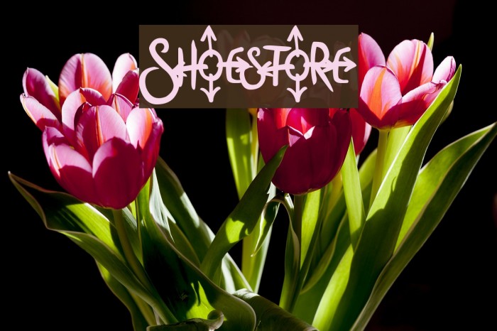 Shoestore Font examples