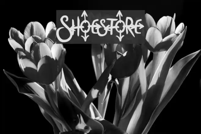 Shoestore Шрифта examples