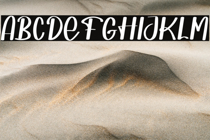 Shoffie Ismarella Example 3