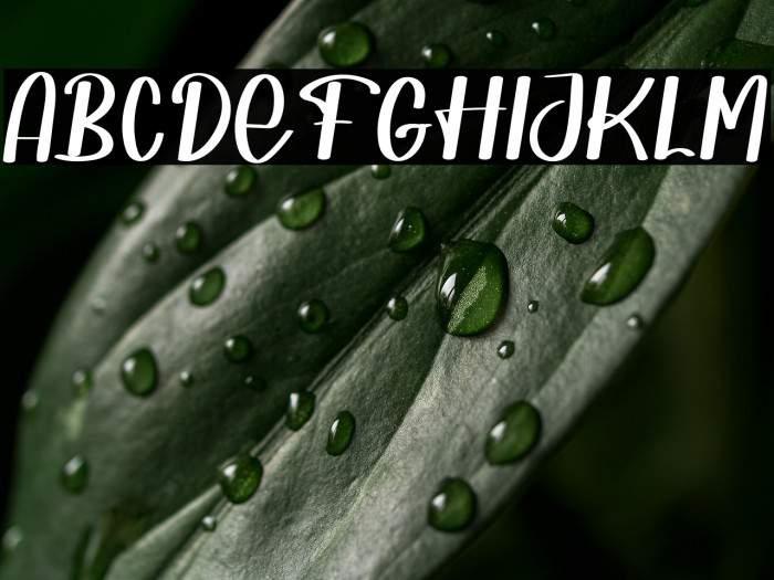 Shoffie Ismarella Example 2