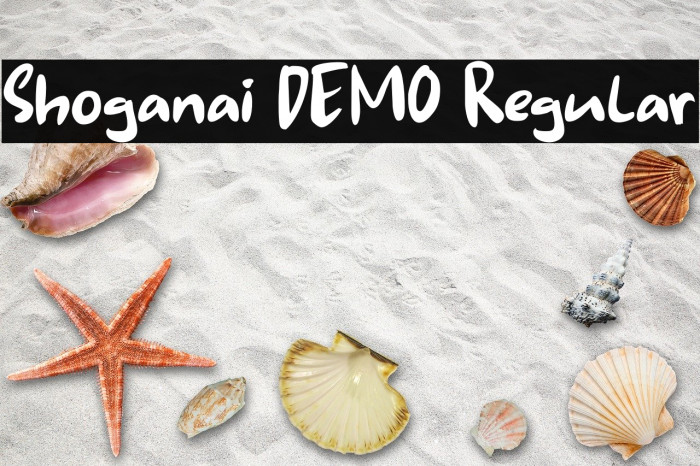 Shoganai DEMO Regular Example 3