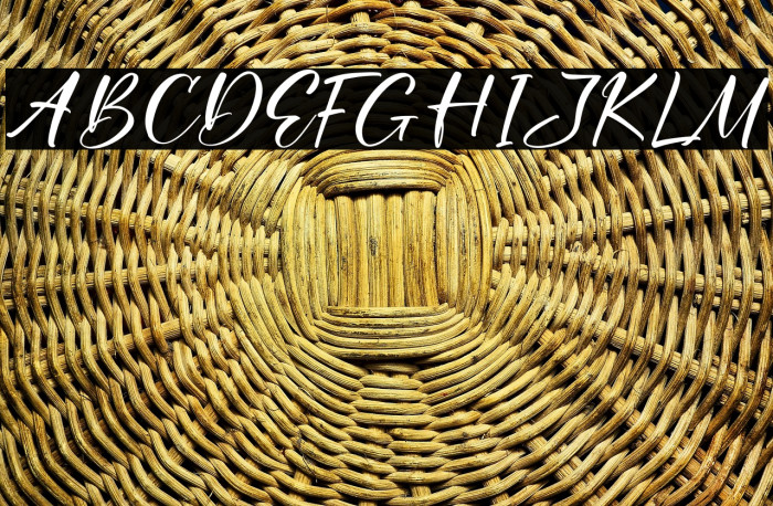 Shogeking Oniki Example 1