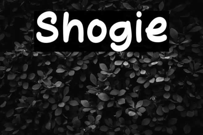 Shogie 字体 examples