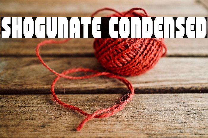 Shogunate Condensed Example 1