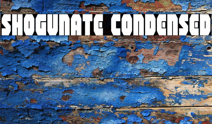 Shogunate Condensed Example 2