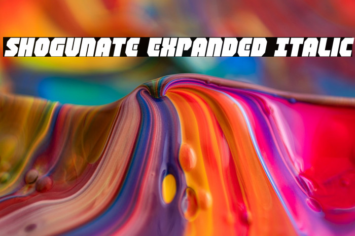 Shogunate Expanded Italic Example 1