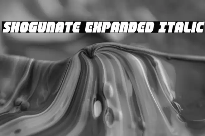 Shogunate Expanded Italic Font examples