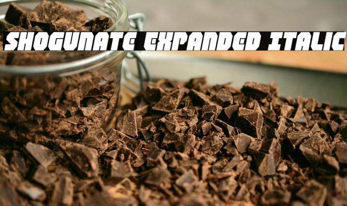 Shogunate Expanded Italic Example 2