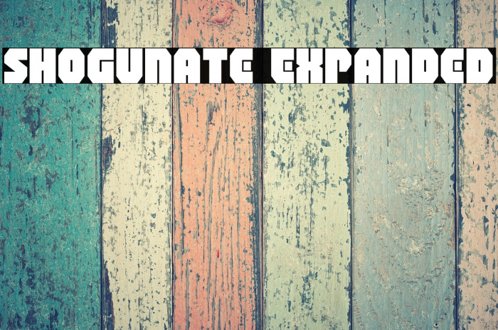 Shogunate Expanded Example 2