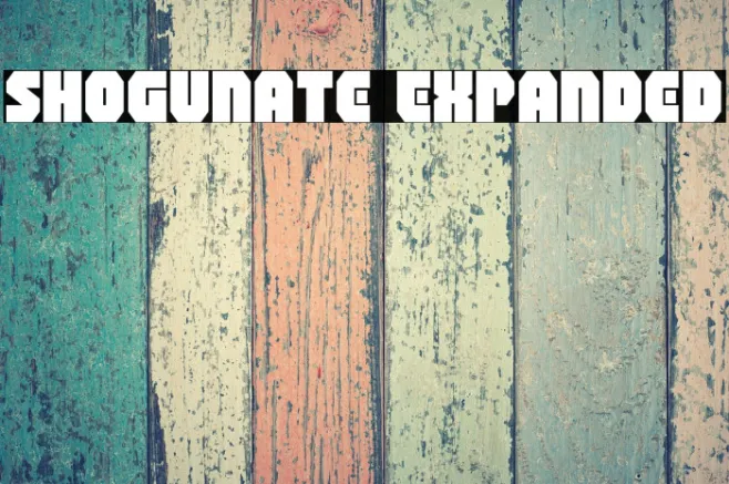 Shogunate Expanded Example 2