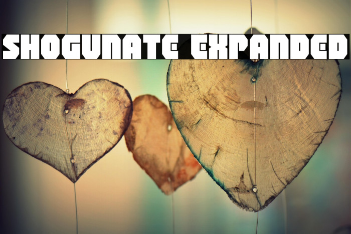 Shogunate Expanded Example 3