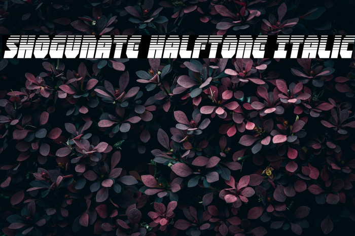 Shogunate Halftone Italic Example 1