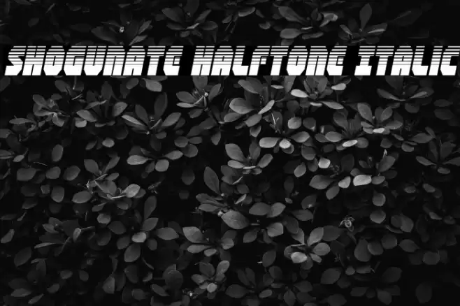 Shogunate Halftone Italic Font examples