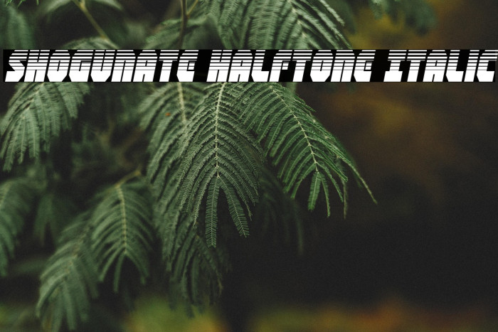Shogunate Halftone Italic Example 2