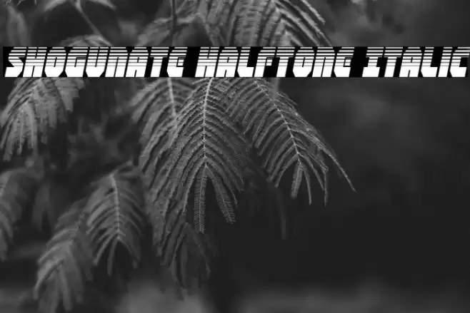 Shogunate Halftone Italic Font examples