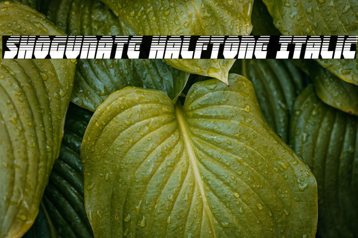 Shogunate Halftone Italic Example 3