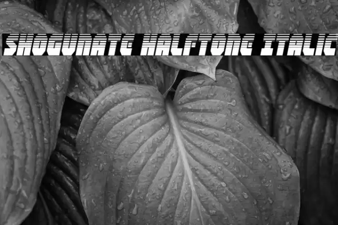 Shogunate Halftone Italic Font examples