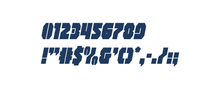 Shogunate Italic Other Characters