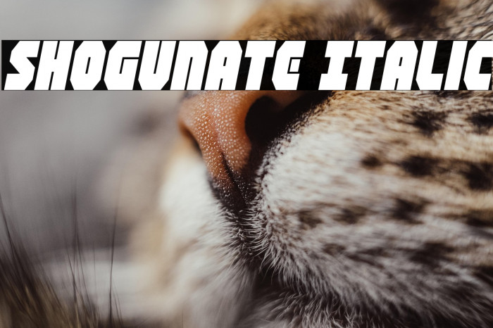 Shogunate Italic Example 1