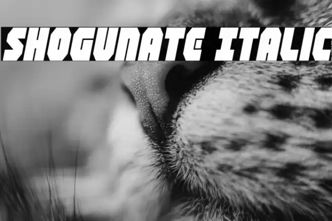 Shogunate Italic Font examples
