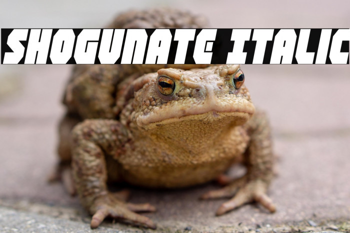 Shogunate Italic Example 2