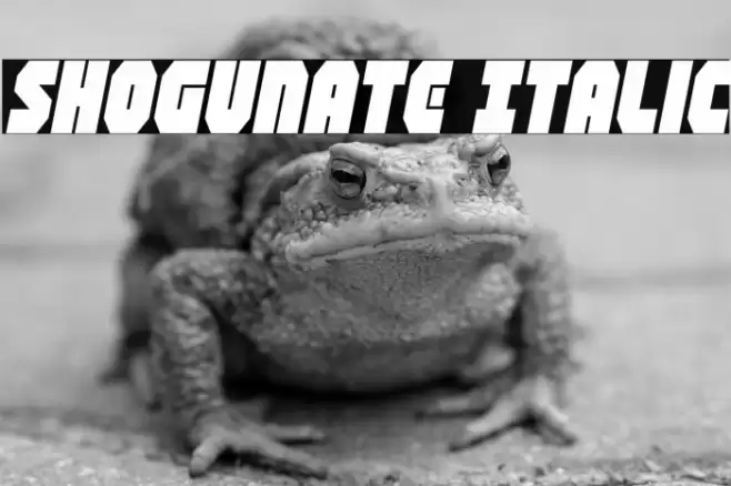 Shogunate Italic Font examples