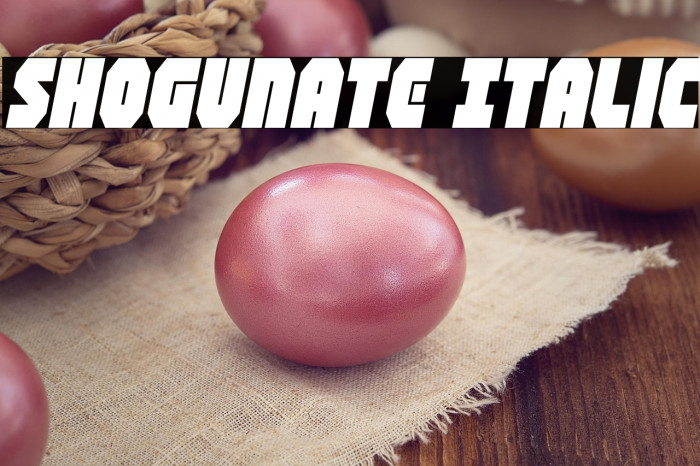 Shogunate Italic Example 3