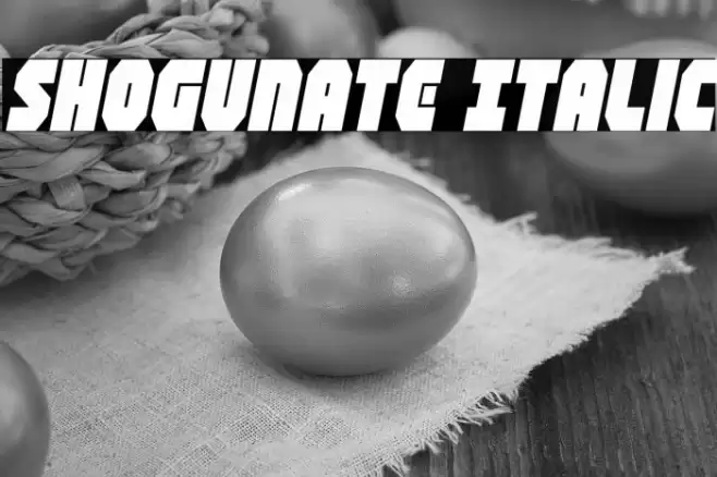 Shogunate Italic Font examples