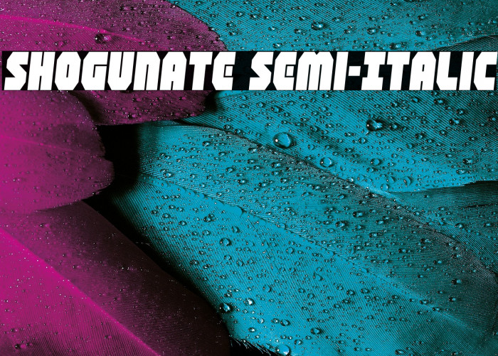 Shogunate Semi-Italic Example 2