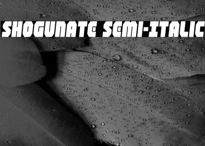 Shogunate Semi-Italic Font examples