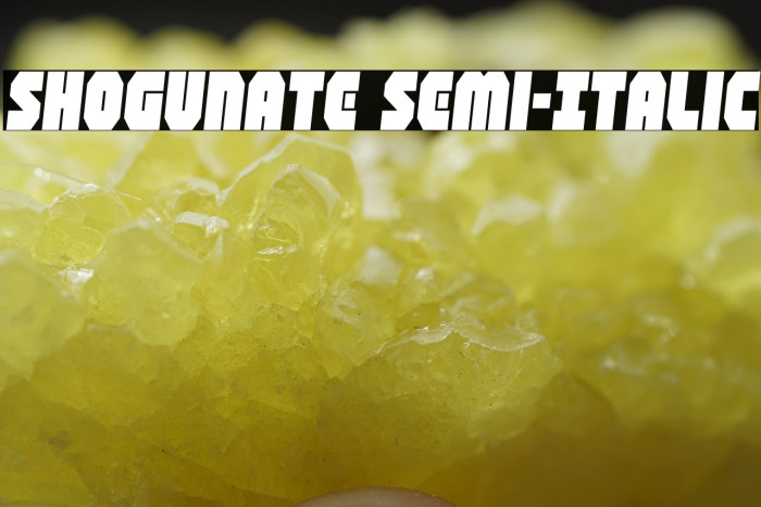Shogunate Semi-Italic Example 3
