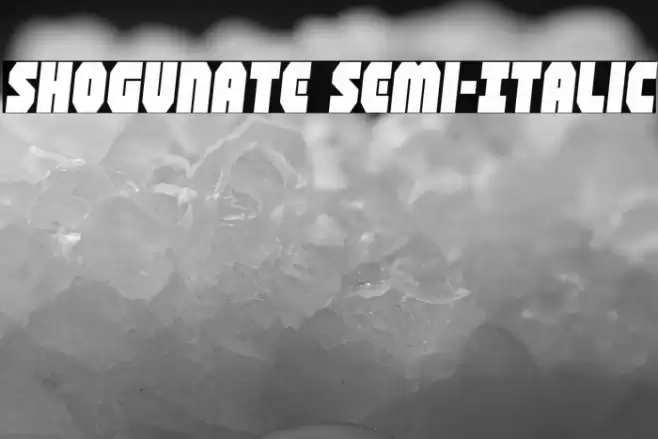 Shogunate Semi-Italic Font examples
