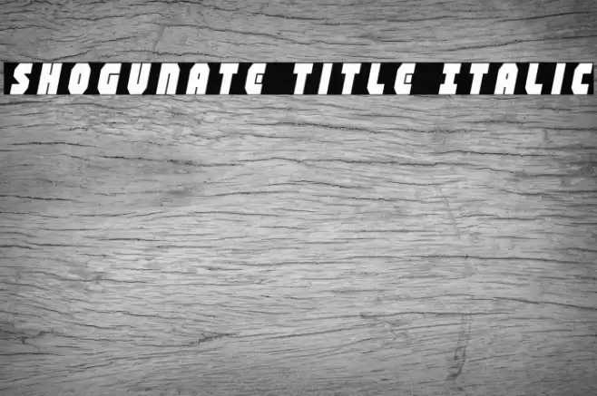 Shogunate Title Italic Font examples