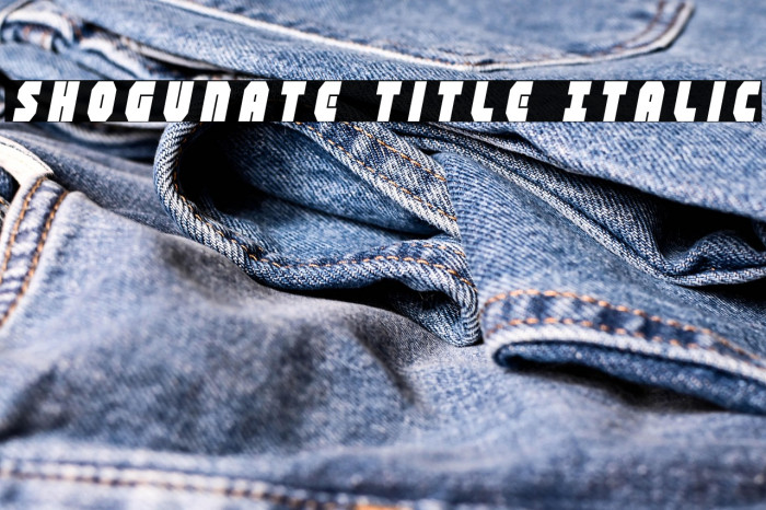 Shogunate Title Italic Example 3