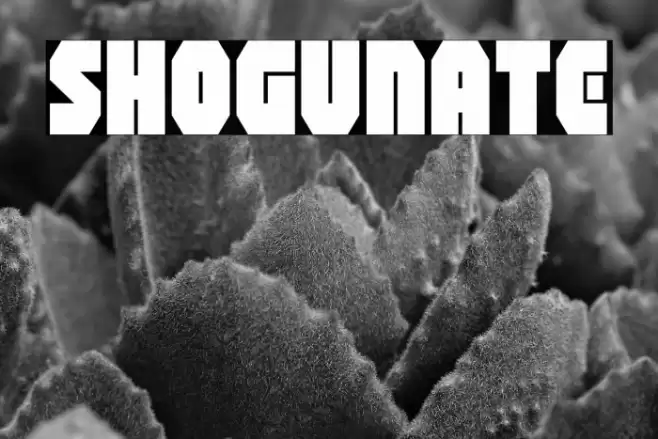 Shogunate Font examples