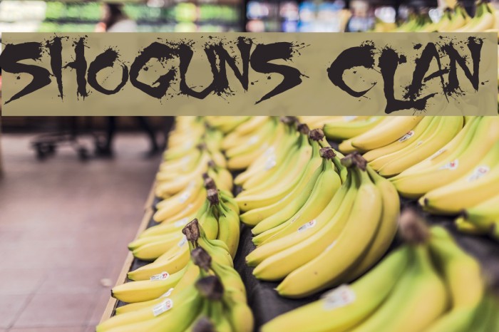 Shoguns Clan Font examples