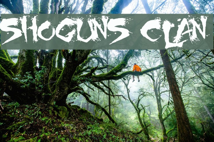 Shoguns Clan Font examples