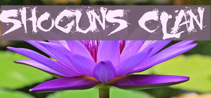 Shoguns Clan Font examples
