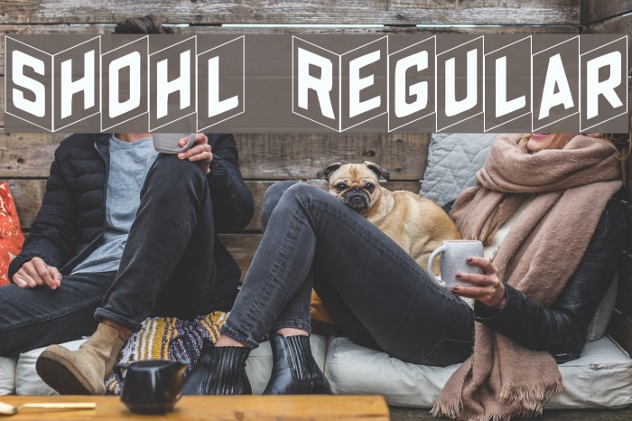 Shohl Regular Font examples