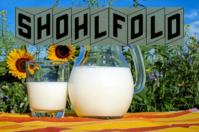 ShohlFold Font examples
