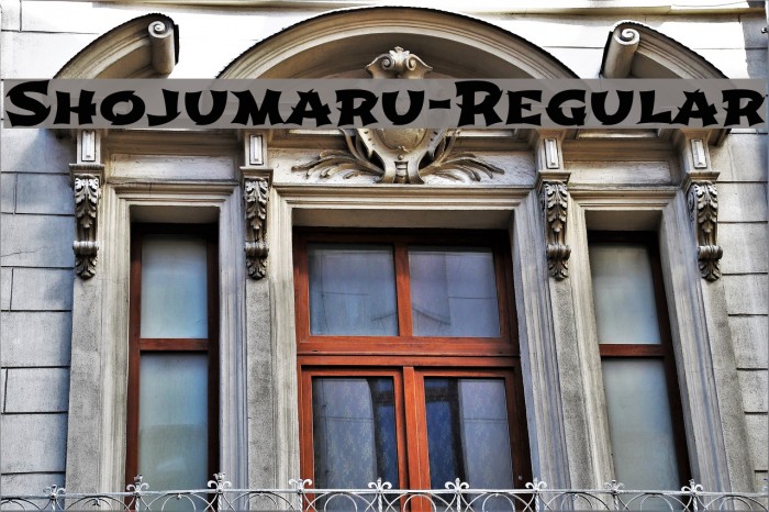 Shojumaru-Regular Font examples
