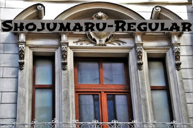 Shojumaru-Regular Example 1