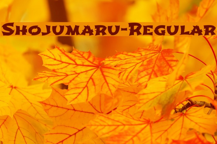 Shojumaru-Regular Font examples