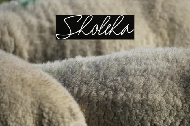 Sholeha Example 1