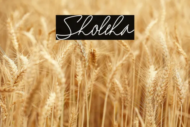 Sholeha Example 2