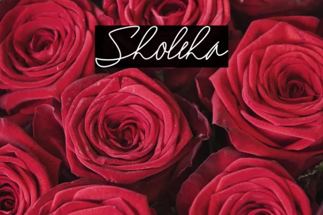 Sholeha Example 3
