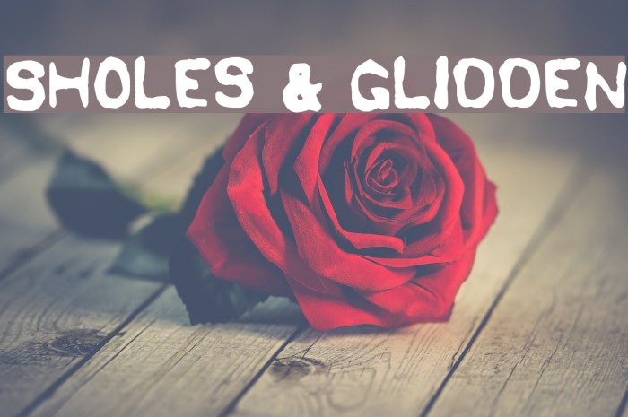 Sholes & Glidden Example 1