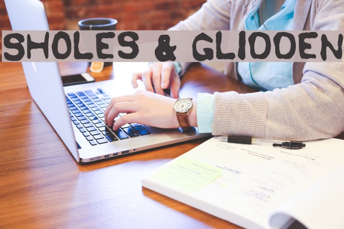 Sholes & Glidden Example 2